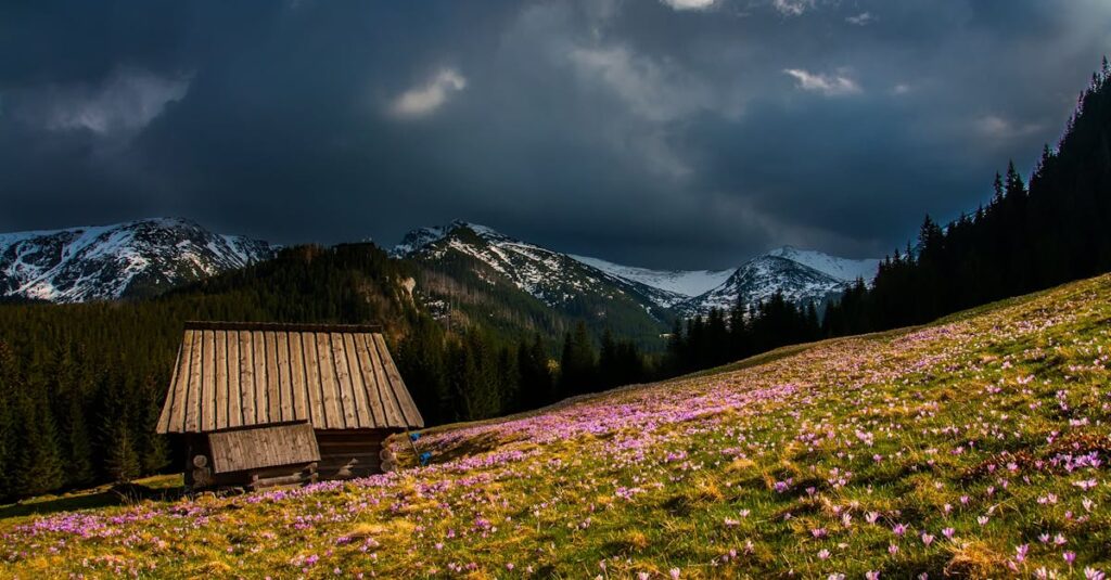 Charming log cabin set against a dramatic mountain landscape with vibrant wildflowers.