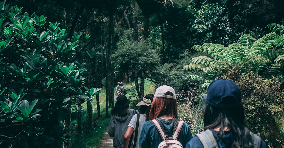 Women hiking along a scenic forest trail, enjoying nature and exploration.